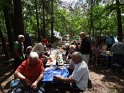 2014-06-05 13-40-56 Foret de Fontainebleau DLe